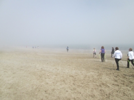 Marina di Ravenna 12 aprile 2015 2 Tappa